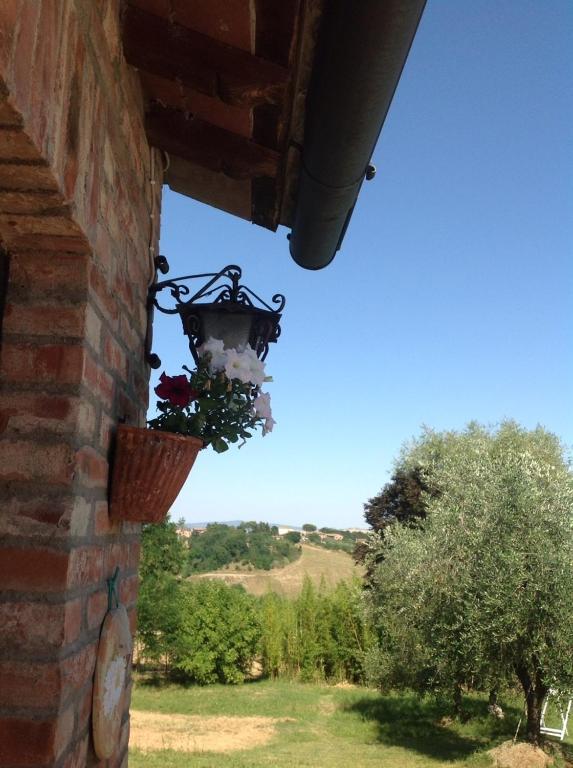 Agriturismo La Collina Sienne Extérieur photo